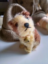 仔犬のMOLLY　シュタイフドッグ　９ｃｍ　ヴィンテージ