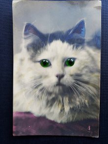 他の写真1: 猫の目　古い時代の珍しいフォトカード　A