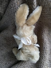 他の写真1: HAPPY PRICE！　ニキ　NIKI   RABBIT　シュタイフ のうさぎ　２０ｃｍ