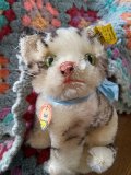 お座り猫さん　SUSI　シュタイフ　キャット　１０ｃｍ　ALL ID's