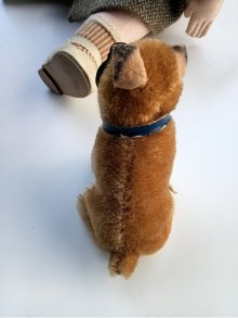 他の写真3:  ころころ丸顔の子犬さん 　ボクサー　シュタイフ　パピー