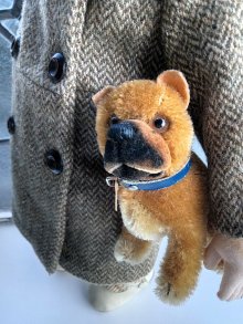 他の写真2:  ころころ丸顔の子犬さん 　ボクサー　シュタイフ　パピー