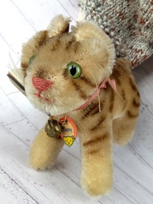 画像1: 猫のタプシー　TAPSY　シュタイフ キャット　１１ｃｍ