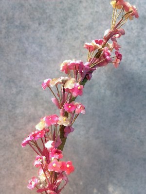 画像5: 布花　わすれな草  　コサージュパーツ　ヴィンテージ　デッドストック　