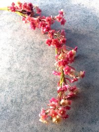 布花　わすれな草  　コサージュパーツ　ヴィンテージ　デッドストック　