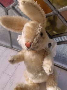 他の写真2: HAPPY PRICE！　ニキ　NIKI   RABBIT　シュタイフ のうさぎ　２０ｃｍ