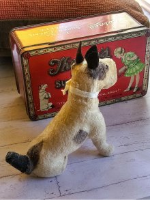 他の写真1: 耳黒テリア犬　トフィー缶といっしょ　　