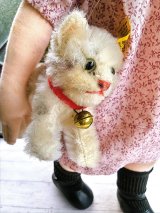 シュタイフ　キャット　ピスタチオグリーンのガラス目　子猫