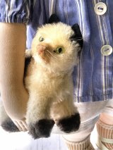 ぶち猫さん　白黒　シュタイフ　ガッシー　キャット　 