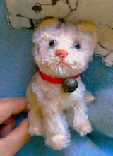 HAPPY PRICE！　お座り猫さん　SUSI　シュタイフ　キャット　１０ｃｍ　