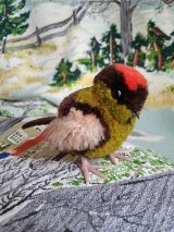 ポンポンバード　シュタイフの小鳥　