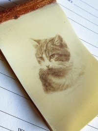 手帳　セルロイドカバー　アイボリー　猫好き