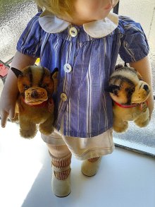 他の写真3: 仔犬のブリー　１０，５ｃｍ　シュタイフ　ブルドッグ　
