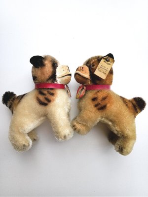 画像1: 仔犬のブリー　１０，５ｃｍ　シュタイフ　ブルドッグ　