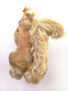 他の写真1: どんぐり抱いたリス　シュタイフ　ベージュモヘア　ヴィンテージ