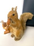 どんぐり抱いたリス　シュタイフ　ブラウンモヘア　ヴィンテージ