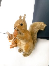 どんぐり抱いたリス　シュタイフ　ブラウンモヘア　ヴィンテージ