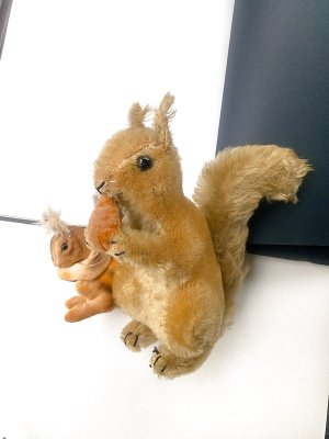 左（約9cm）はサイズ比較用です