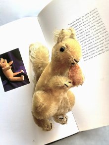他の写真2: どんぐり抱いたリス　シュタイフ　ブラウンモヘア　ヴィンテージ