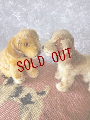 画像1: HAPPY PRICE！　仔犬ころころ　シュタイフドッグ　２匹いっしょに　ヴィンテージ