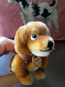 他の写真2: ダックスフント　ヴィンテージドッグ　シュタイフ