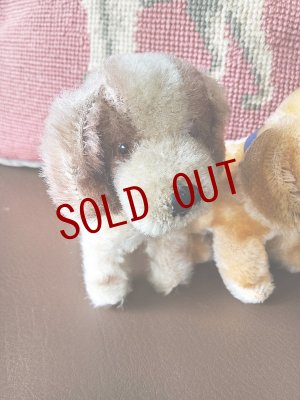 画像2: HAPPY PRICE！　仔犬ころころ　シュタイフドッグ　２匹いっしょに　ヴィンテージ