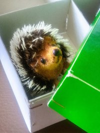 森の動物　ハリネズミ　ワグナー社　WAGNER　ミニチュア