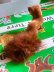 画像3: 森の動物　イタチ　ワグナー社　WAGNER　ミニチュア (3)