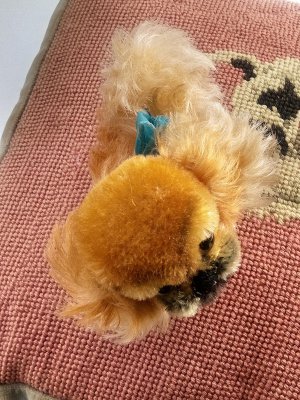 画像5: ペキニーズ　　シュタイフ　ヴィンテージドッグ　