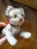 画像1: フルジョイントのしま猫　シュタイフキャット　小さいサイズ　ヴィンテージ (1)