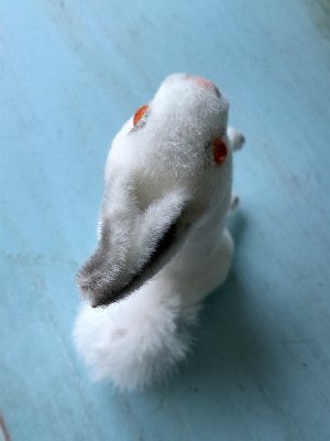 画像4: 元気いっぱいのちびっこうさぎ　白兎　ワグナー社　WAGNER　ラビット