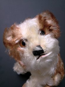 他の写真2: 仔犬のMOLLY　シュタイフドッグ　１５ｃｍ　ヴィンテージ