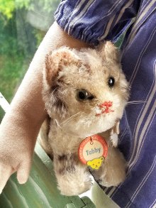 他の写真2: 猫のTUBBY 　ピスタチオグリーンのガラス目　シュタイフ　キャット