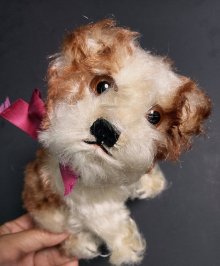 他の写真1: 仔犬のMOLLY　シュタイフドッグ　１５ｃｍ　ヴィンテージ