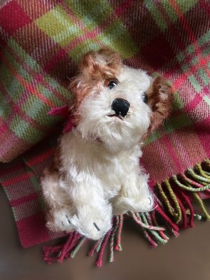画像3: 仔犬のMOLLY　シュタイフドッグ　１５ｃｍ　ヴィンテージ