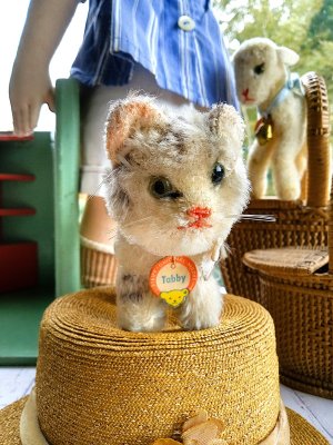 画像5: 猫のTUBBY 　ピスタチオグリーンのガラス目　シュタイフ　キャット