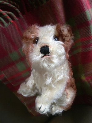 画像1: 仔犬のMOLLY　シュタイフドッグ　１５ｃｍ　ヴィンテージ