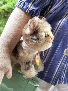 他の写真1: 猫のTUBBY 　ピスタチオグリーンのガラス目　シュタイフ　キャット