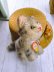 画像1: 猫のTUBBY 　ピスタチオグリーンのガラス目　シュタイフ　キャット (1)