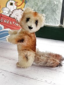 他の写真2: アライグマ　シュコー　ミニチュア　ノアの箱舟シリーズ