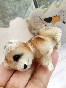 他の写真3: アライグマ　シュコー　ミニチュア　ノアの箱舟シリーズ