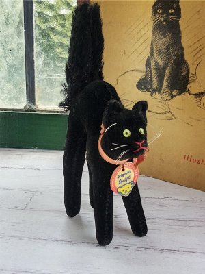 画像5: 目が点になってるベルベットの黒猫　トムキャット　シュタイフ　８ｃｍ
