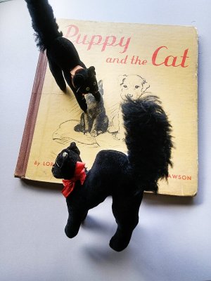 手前の黒猫です。