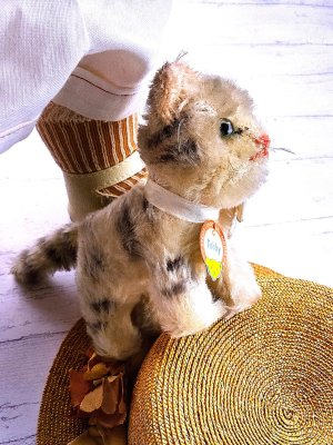 画像2: 猫のTUBBY 　ピスタチオグリーンのガラス目　シュタイフ　キャット