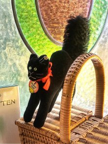 他の写真1: ベルベットの黒猫　トムキャット　シュタイフ　１０ｃｍ　