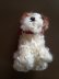 画像2: 仔犬のMOLLY　シュタイフドッグ　１５ｃｍ　ヴィンテージ (2)