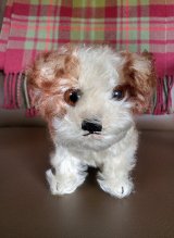 仔犬のMOLLY　シュタイフドッグ　１５ｃｍ　ヴィンテージ