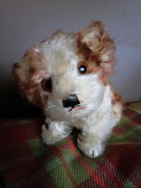 仔犬のMOLLY　シュタイフドッグ　１５ｃｍ　ヴィンテージ