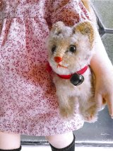 HAPPY PRICE！　お座り猫さん　SUSI　シュタイフ　キャット　１０ｃｍ　