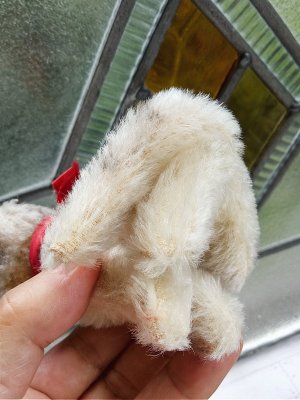 画像3: HAPPY PRICE！　お座り猫さん　SUSI　シュタイフ　キャット　１０ｃｍ　